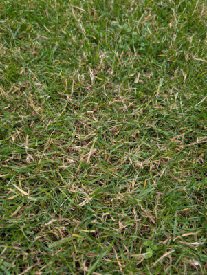 PXL_20250607_163436164.jpg