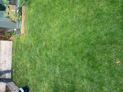 IMG_9615.jpeg