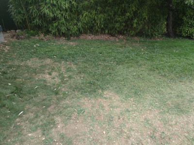 IMG_20250702_203455.jpg