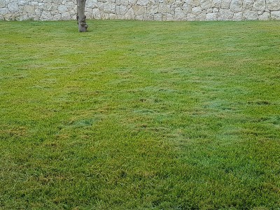 20160819_075438.jpg
