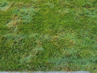 20160819_075518.jpg