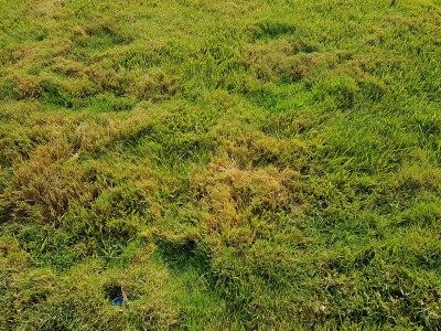 20160819_165316.jpg