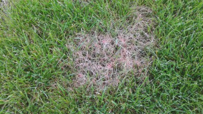 20150503_200213.jpg