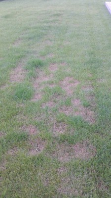 20150503_200206.jpg