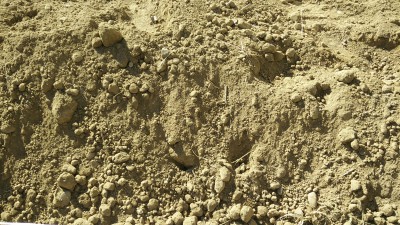 IMG_20160825_105843.jpg