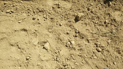 IMG_20160825_105812.jpg