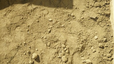 IMG_20160825_105736.jpg