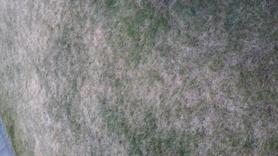 20160830_204402.jpg