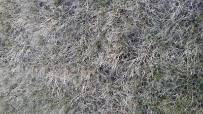 20160830_204412.jpg