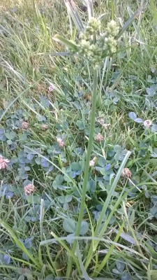 WP_20160831_002.jpg