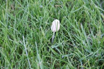 IMG_1637.JPG