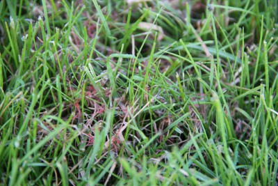 IMG_1640.JPG