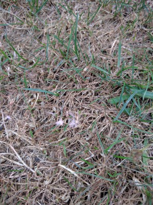 IMG_20160906_193245.jpg