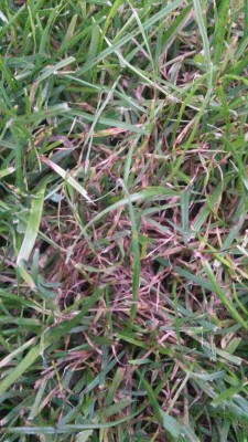 20160906_202319_resized.jpg