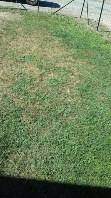 20160907_150015.jpg