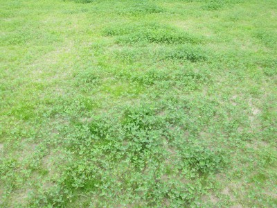 IMG_2590.jpg