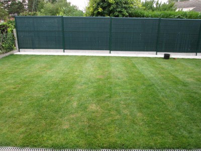 Après la tonte à 4,5 cm le 17/9/16
