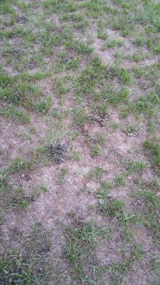 20160920_194909.jpg
