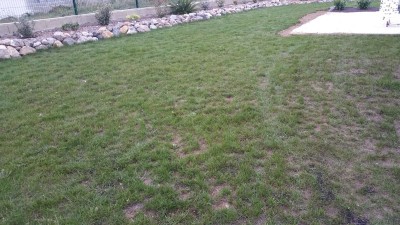 20160920_194929.jpg