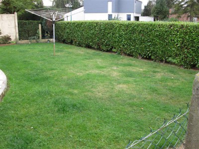 IMG_2244 (Medium).JPG