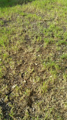 20160926_165934.jpg