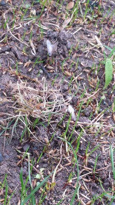 20160926_192449.jpg