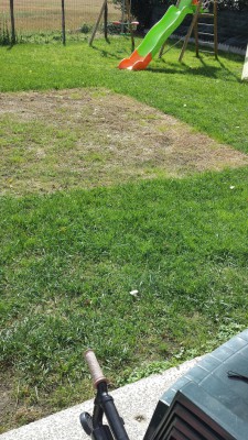 photo3.jpg
