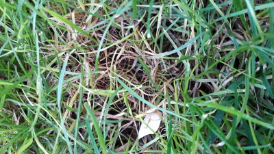 20161005_184800.jpg