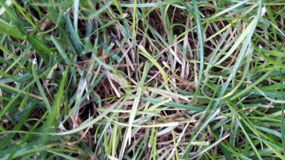 20161005_184814.jpg