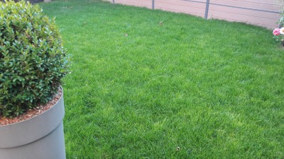 20161005_184823.jpg