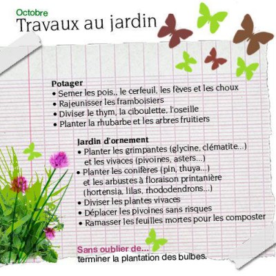 travaux-jardin-octobre.jpeg