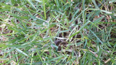 20161025_181350.jpg