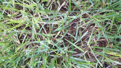 20161025_181354.jpg