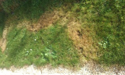 20161101_110601.jpg