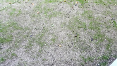 20160923_145003_resized.jpg