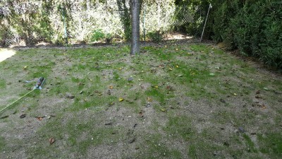 20160923_145008_resized.jpg