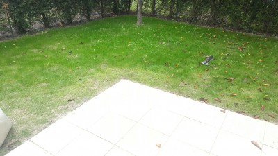 20161020_134138_resized.jpg