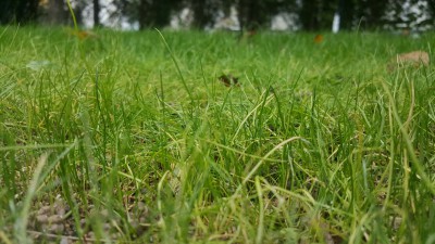 20161020_134149_resized.jpg