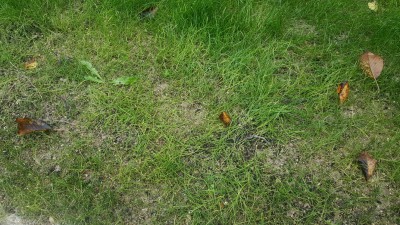 20161020_134201_resized.jpg