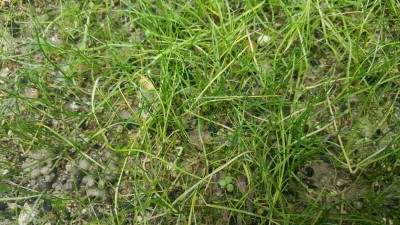 20161020_134205_resized (1).jpg
