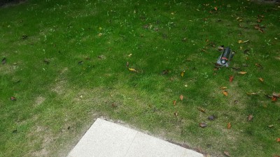 20161020_134222_resized.jpg