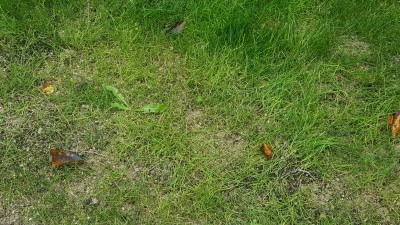 20161020_134230_resized.jpg