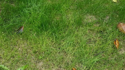 20161020_134258_resized.jpg