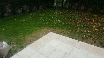 20161101_130730_resized.jpg