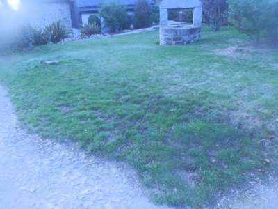 P1011559.JPG