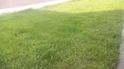 IMG_20150616_172257.jpg