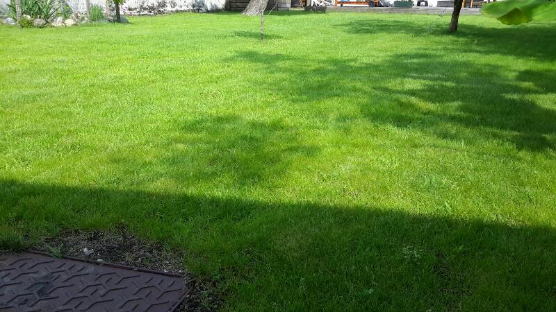 Herbe 2