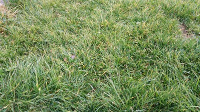 20170113_144153.jpg