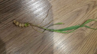 20170115_082507.jpg