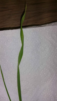 20170118_190710.jpg